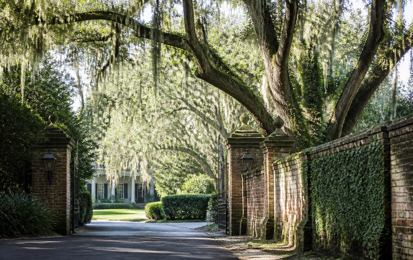 A gated, oak-canopied residential lane in Foxcroft, Charlotte