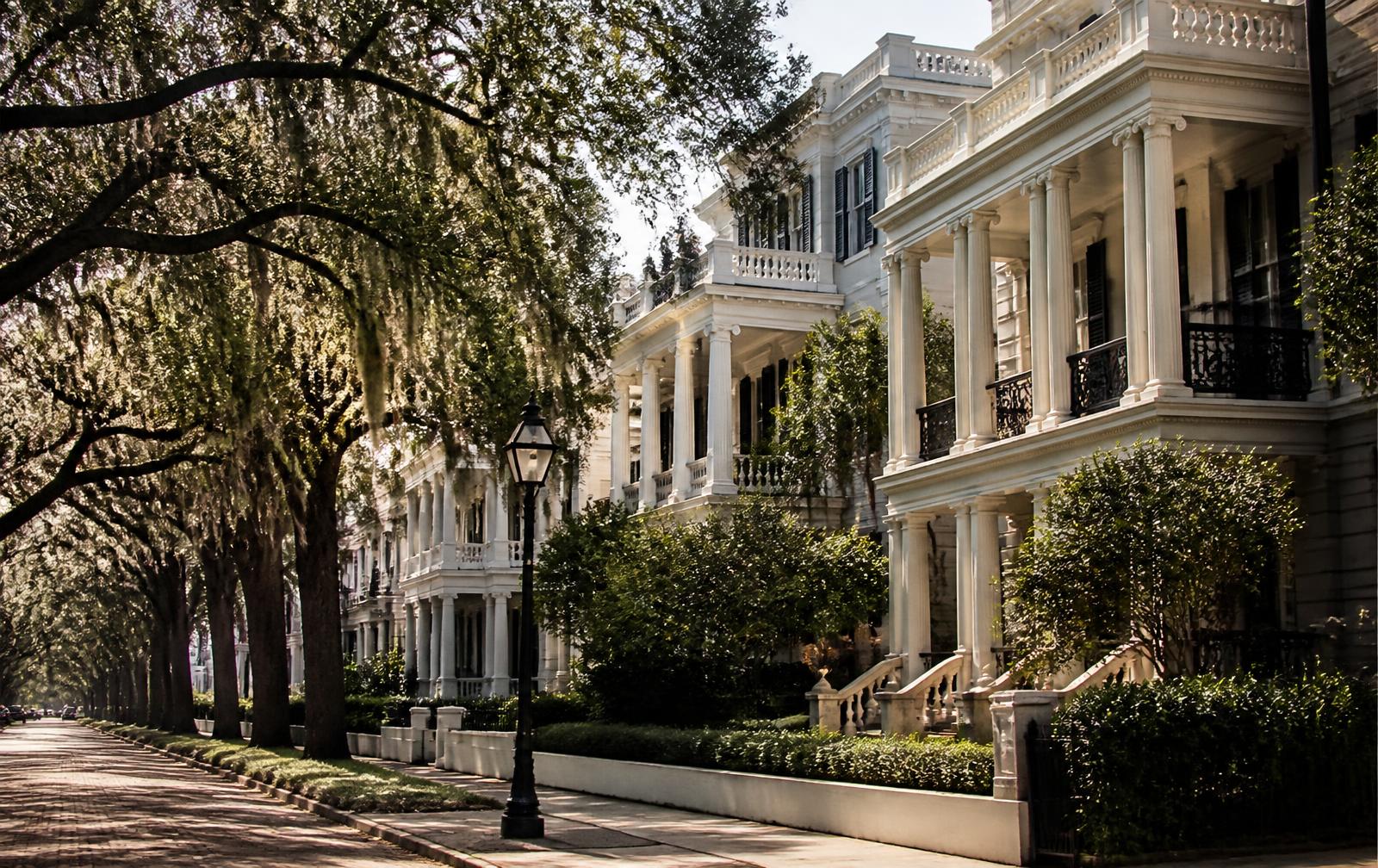 Historic mansions along a canopied Myers Park avenue in Charlotte