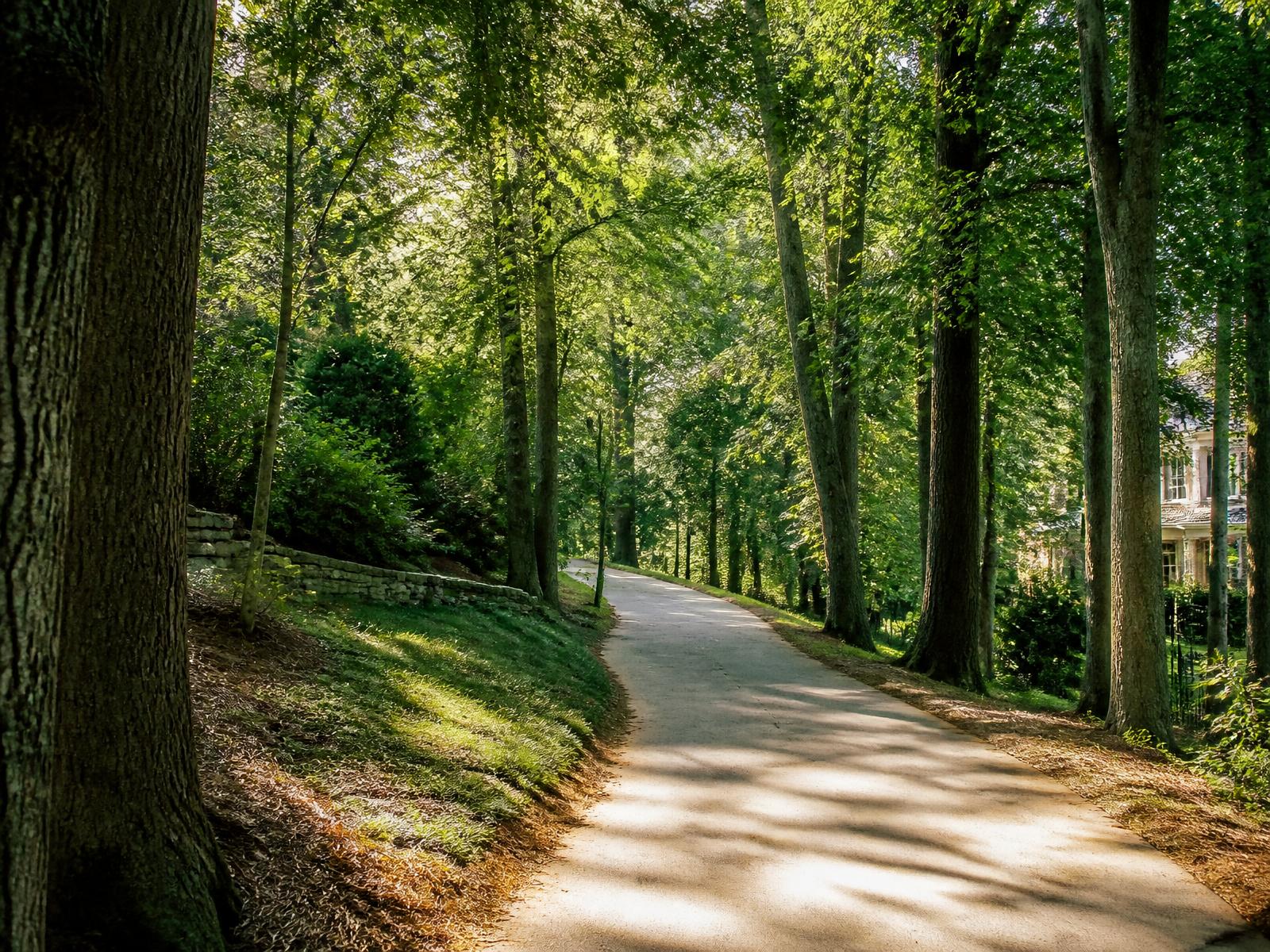 Shaded greenway path under mature hardwoods near Foxcroft in Charlotte, North Carolina