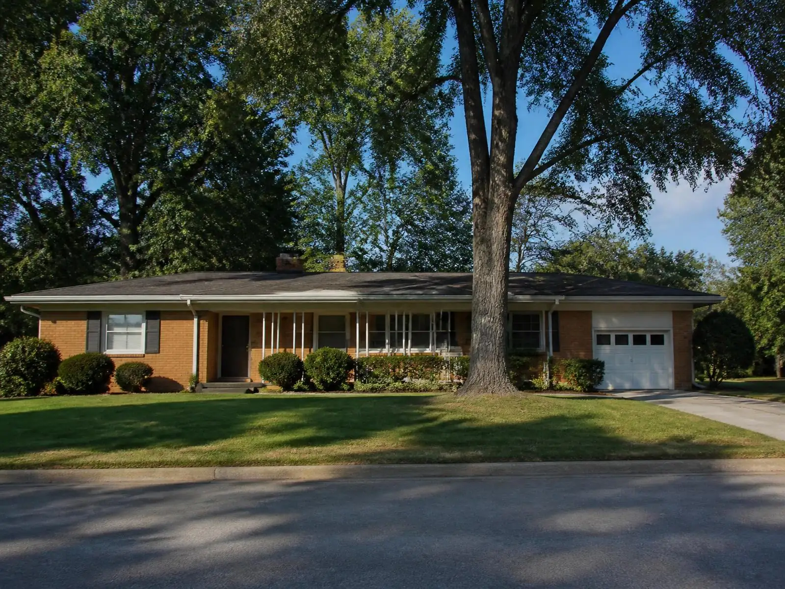 Low-slung mid-century brick ranch home with mature shade trees in a postwar Charlotte neighborhood