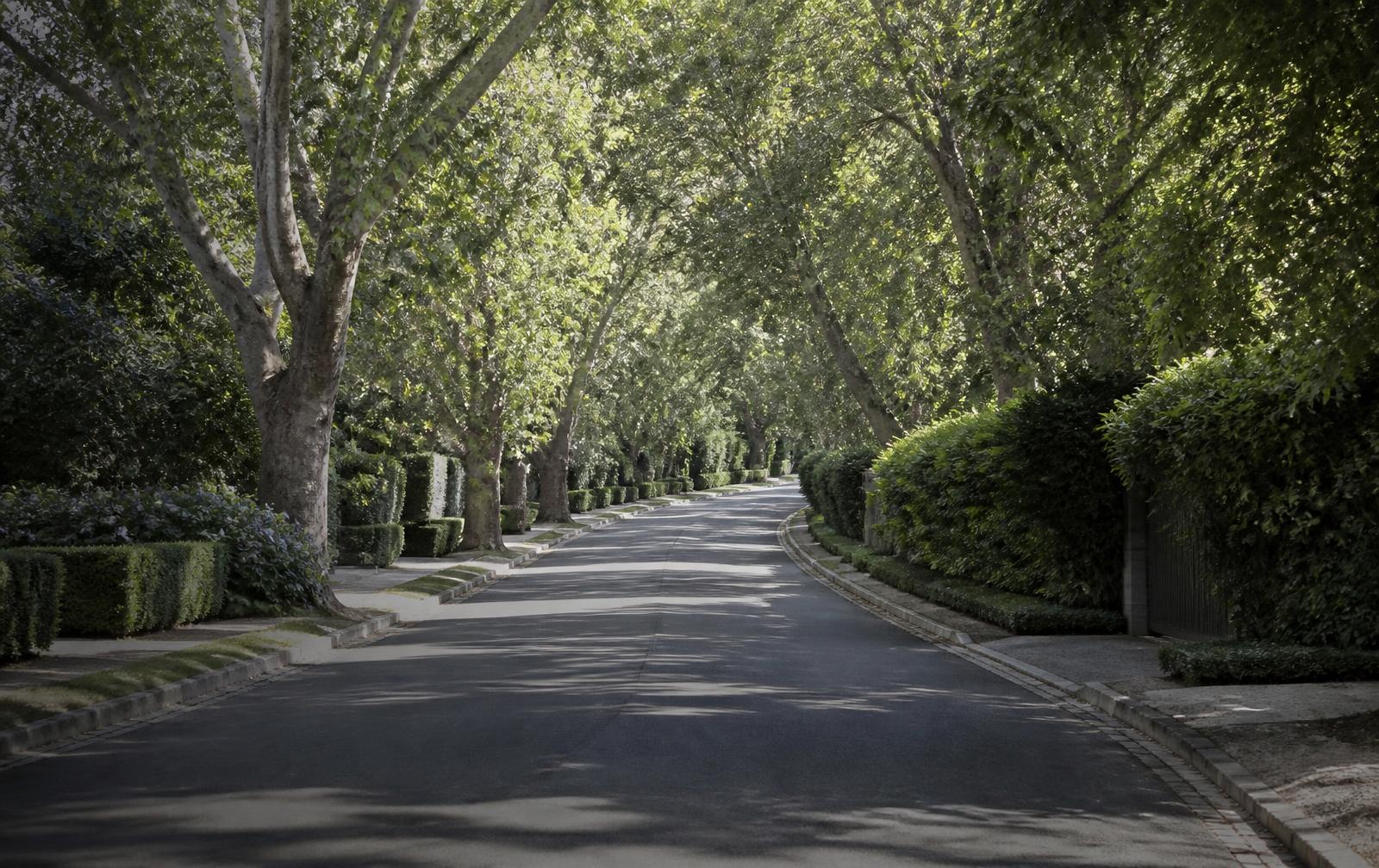 A curving street beneath a dense tree canopy in Foxcroft, Charlotte